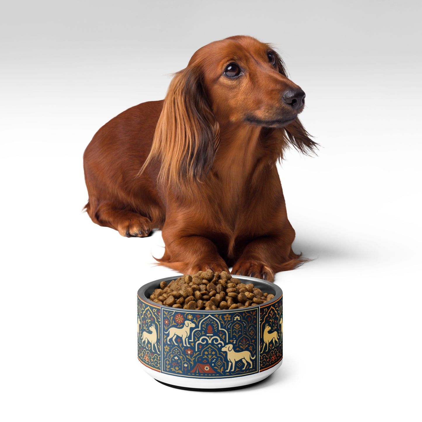 Brown dachshund sitting next to a decorative dog bowl filled with kibble on a white background